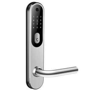 Prolock H65B PL-DELUXE-SCANDI-SILV