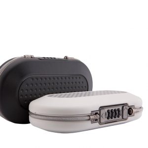 Master Lock Minisafe ML5900